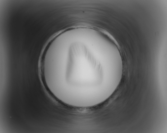 X0000087621003200705251959