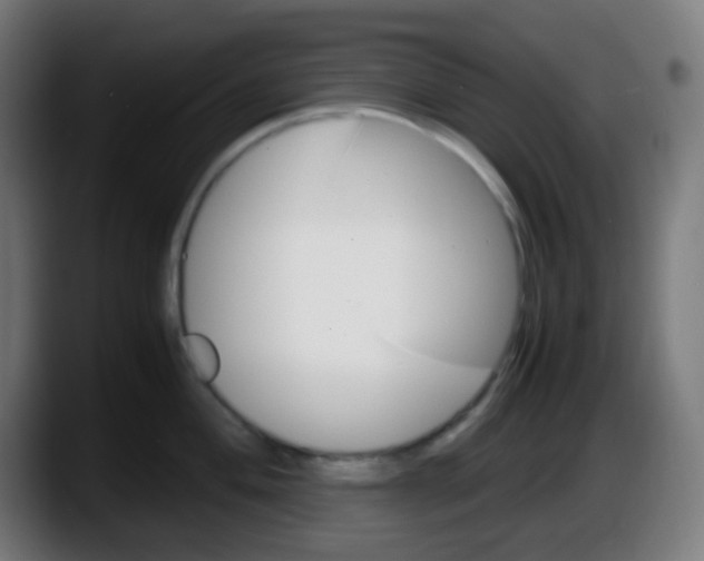 X0000087621004200705251959