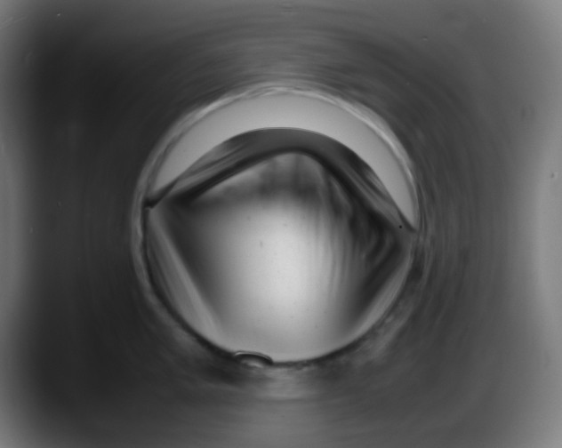 X0000087621005200705251959