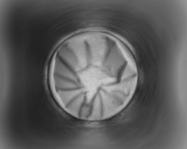 X0000087621006200705251959