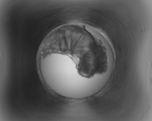 X0000087621008200705251959