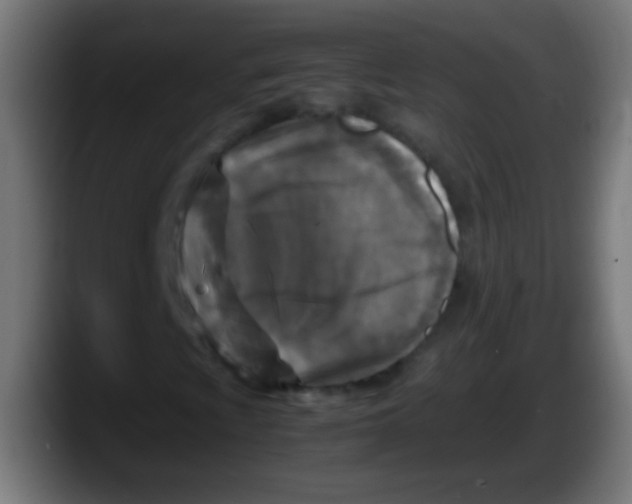 X0000087621009200705251958