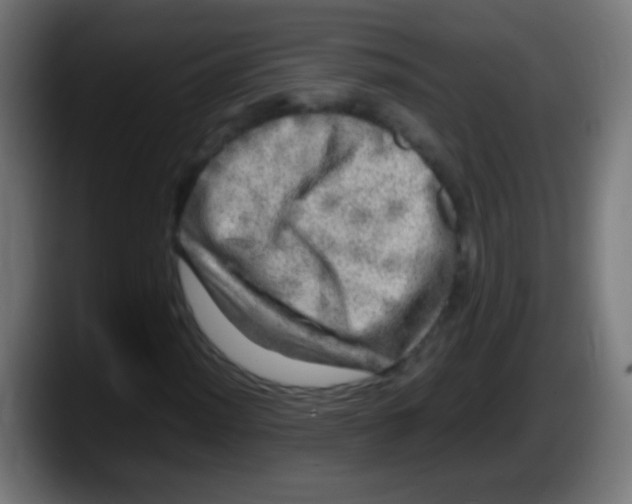 X0000087621012200705251958