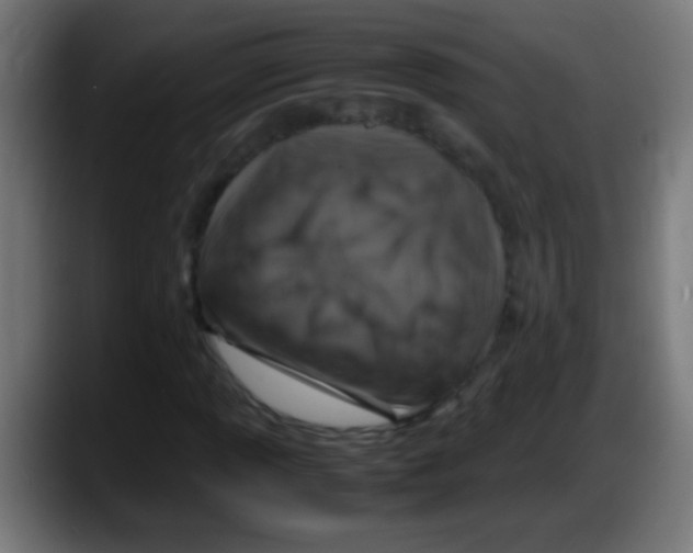 X0000087621013200705251958