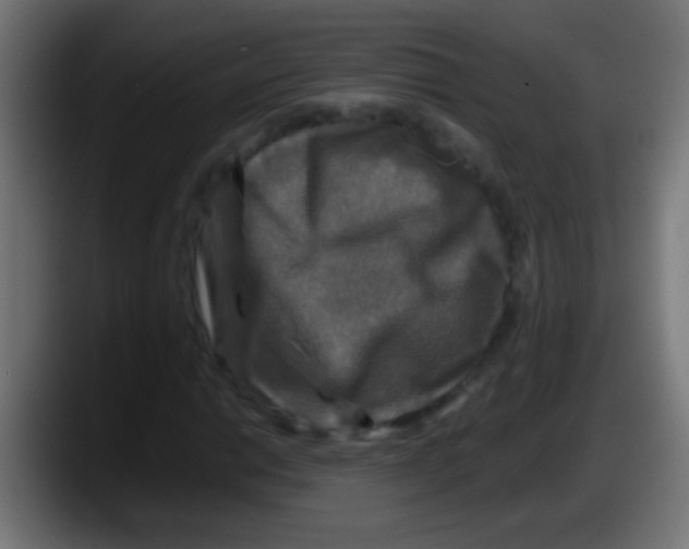 X0000087621014200705251958