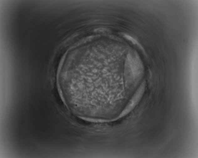 X0000087621015200705251958
