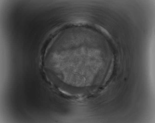 X0000087621016200705251958