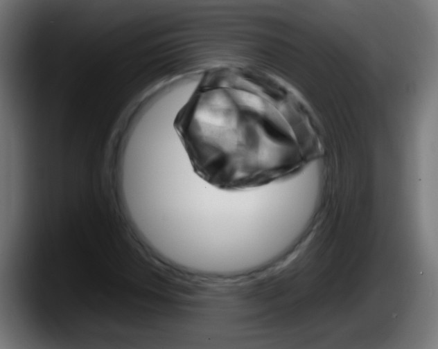 X0000087621018200705251958