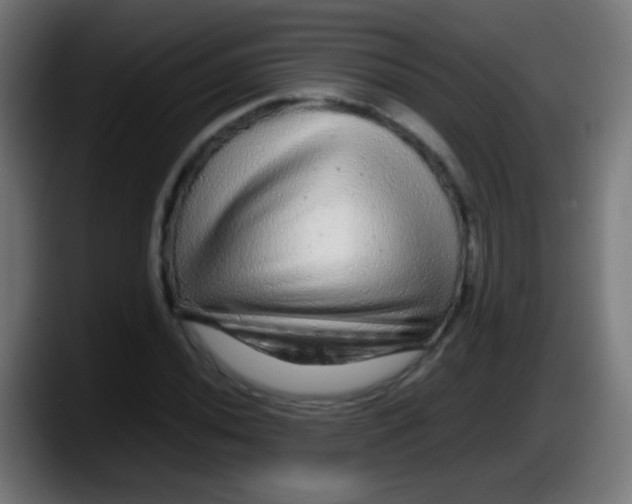 X0000087621020200705251958