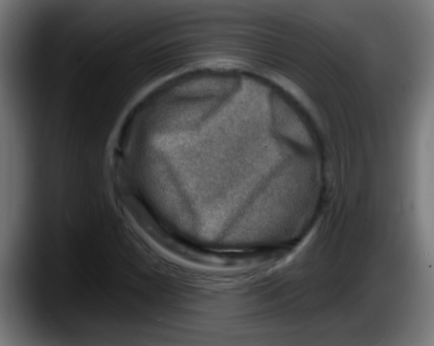 X0000087621022200705251958
