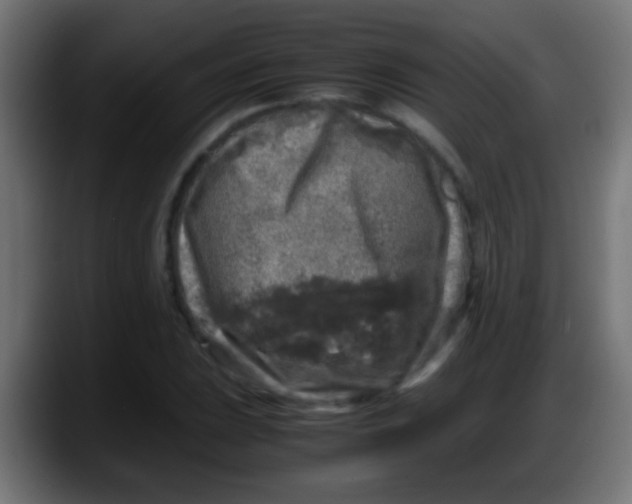 X0000087621023200705251958