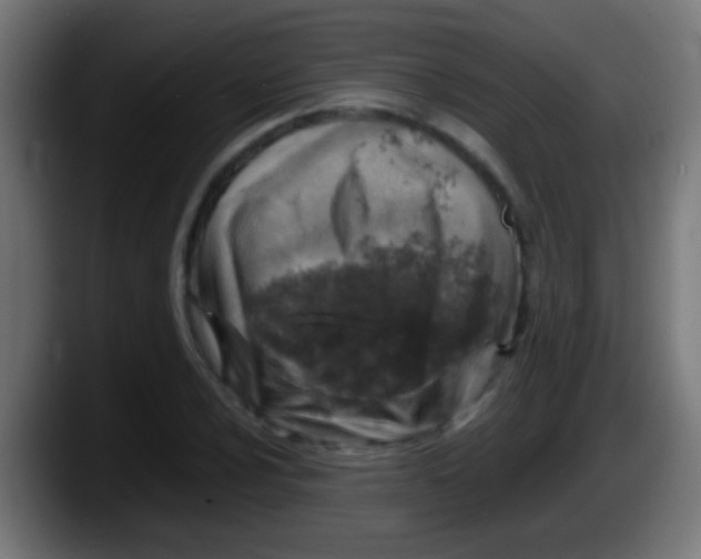 X0000087621024200705251958