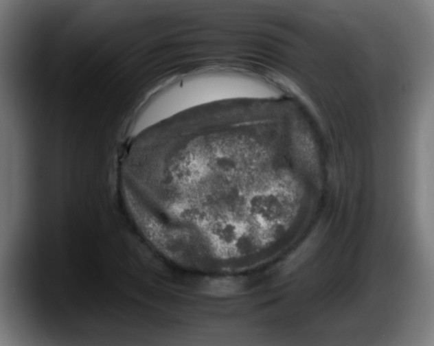 X0000087621025200705251958