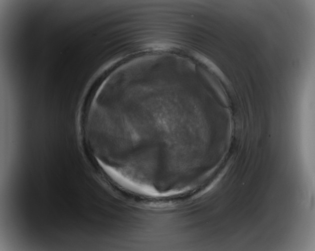 X0000087621026200705251958