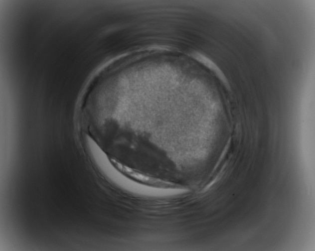 X0000087621027200705251958