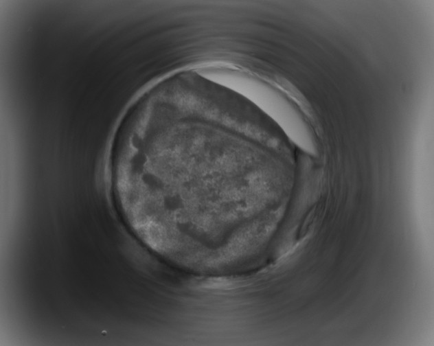 X0000087621028200705251958