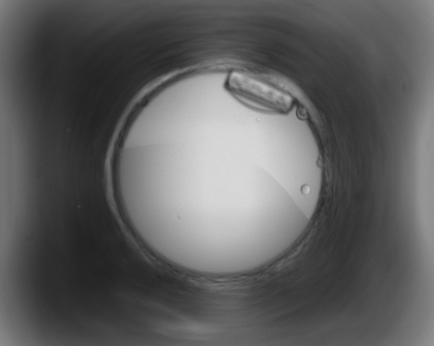 X0000087621032200705251958