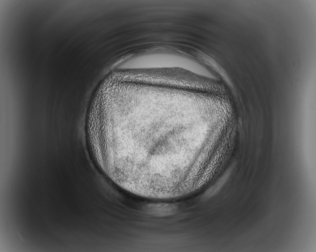 X0000087621033200705251958