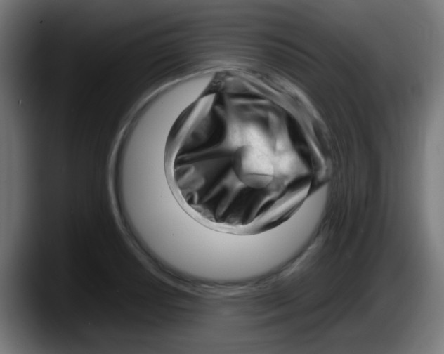 X0000087621034200705251958