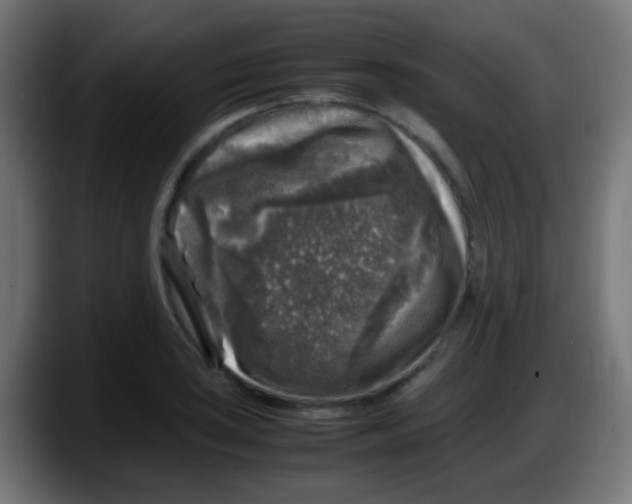 X0000087621035200705251958