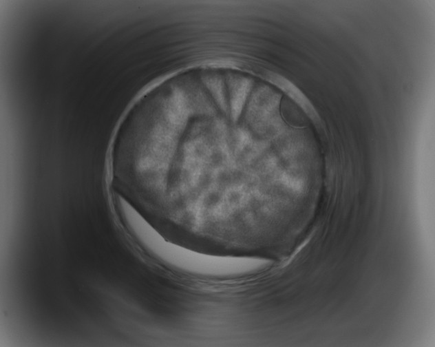 X0000087621036200705251958
