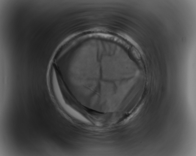 X0000087621037200705251958