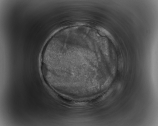 X0000087621039200705251958