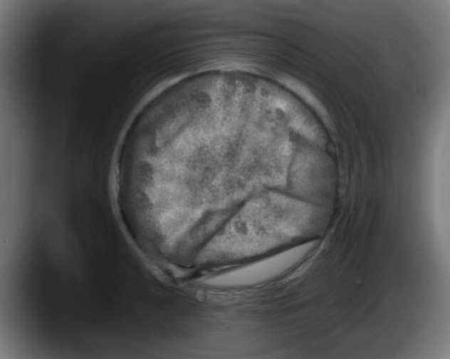 X0000087621040200705251958