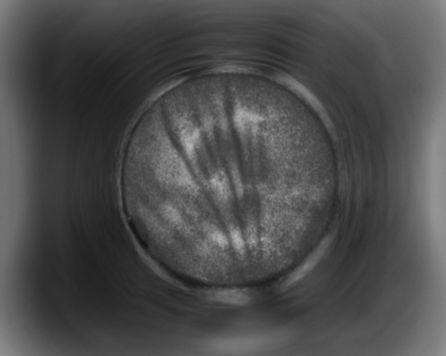 X0000087621041200705251958