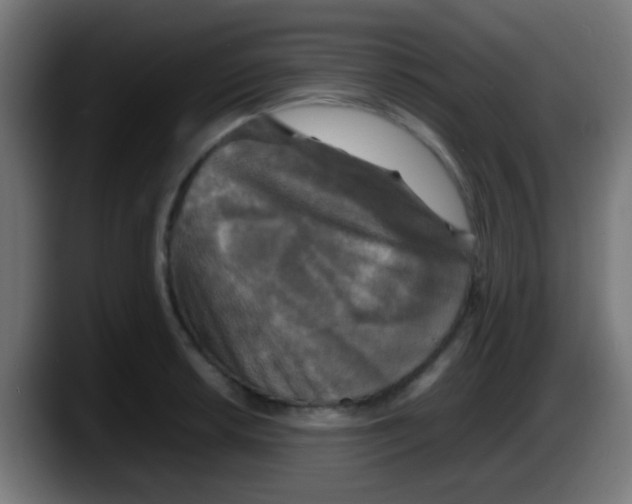 X0000087621042200705251958