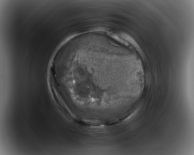 X0000087621043200705251958