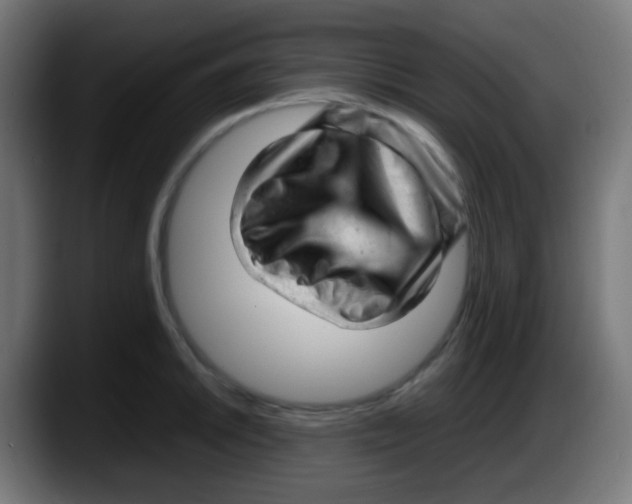 X0000087621046200705251958