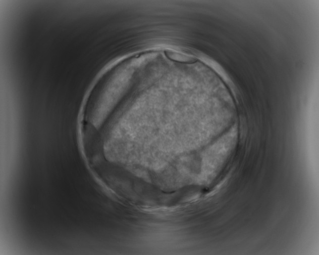 X0000087621048200705251958