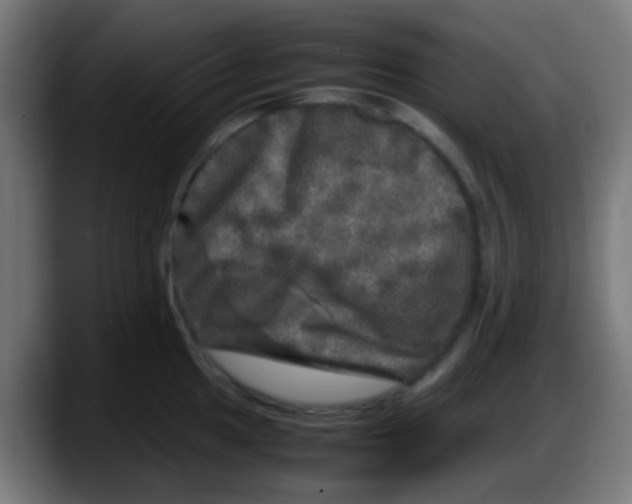 X0000087621049200705251958