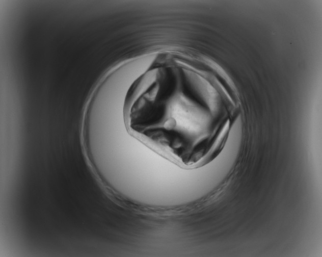 X0000087621050200705251958