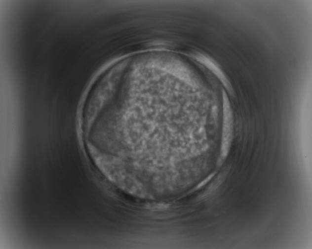 X0000087621051200705251958