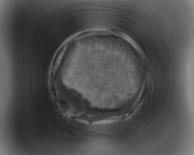 X0000087621052200705251958