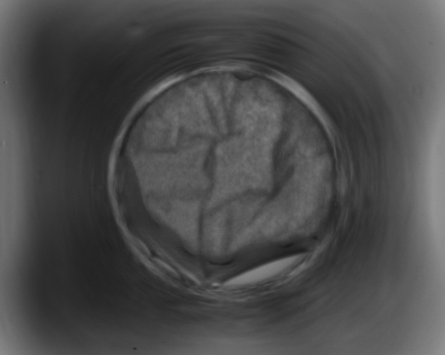 X0000087621053200705251959