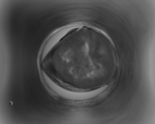 X0000087621054200705251959