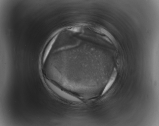 X0000087621055200705251959
