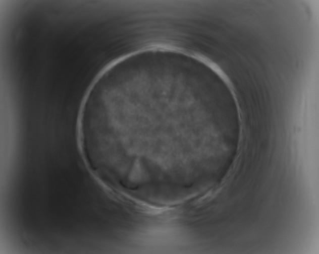 X0000087621056200705251959