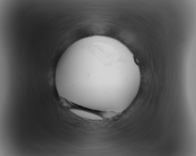 X0000087621058200705251958