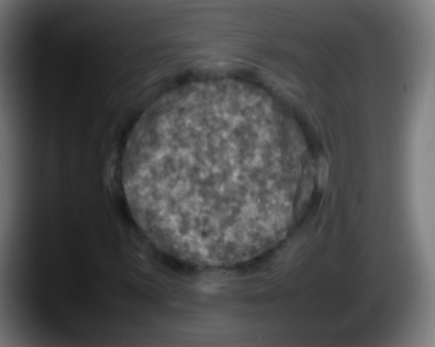 X0000087621059200705251958