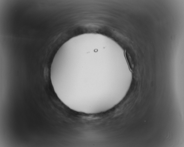 X0000087621061200705251958