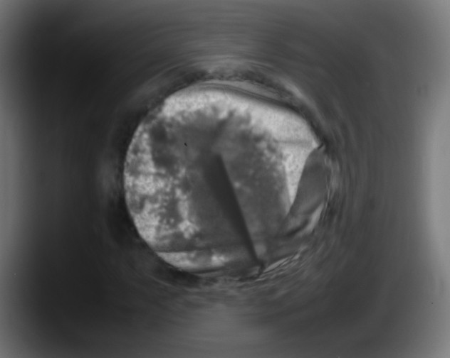 X0000087621063200705251958