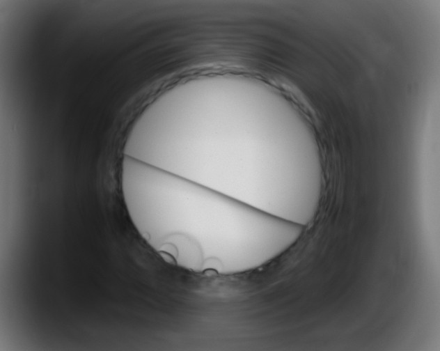 X0000087621064200705251958