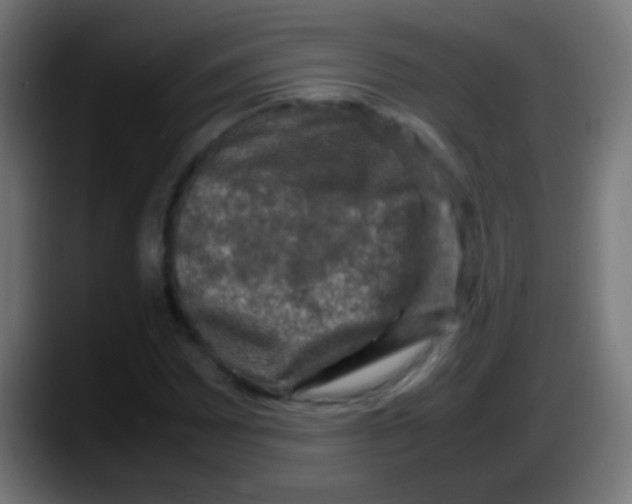 X0000087621065200705251958