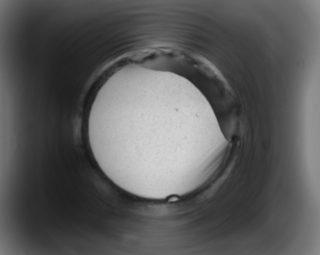 X0000087621066200705251958