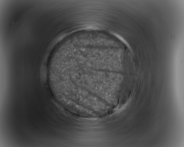 X0000087621067200705251958