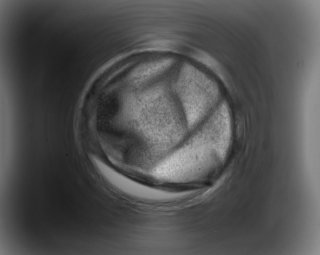 X0000087621069200705251958